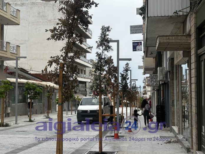 mitropoleos-trees-1-2