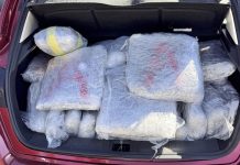 Σύλληψη στην Εγνατία Οδό με περισσότερα από 70 κιλά ακατέργαστης κάνναβης